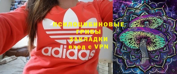 стафф Алзамай
