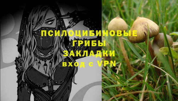 стафф Алзамай