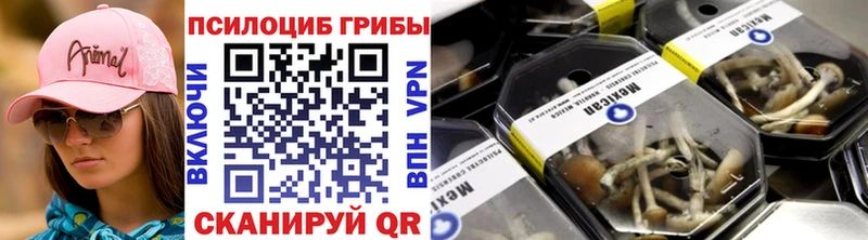 Галлюциногенные грибы Cubensis  Нерехта 